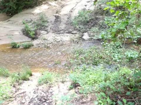 Recreational Land Bordering National Forest