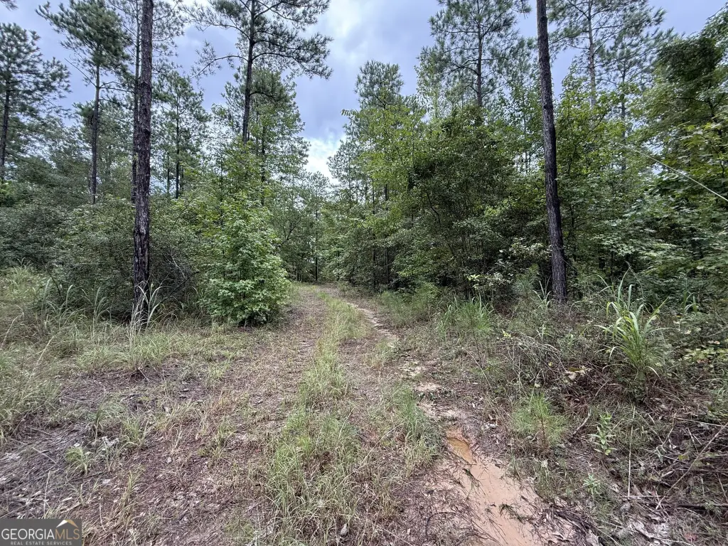 Picture 23