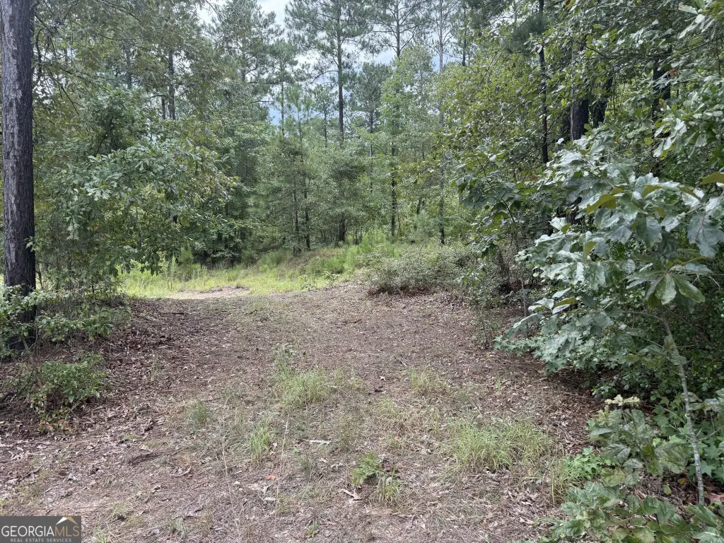 Picture 28
