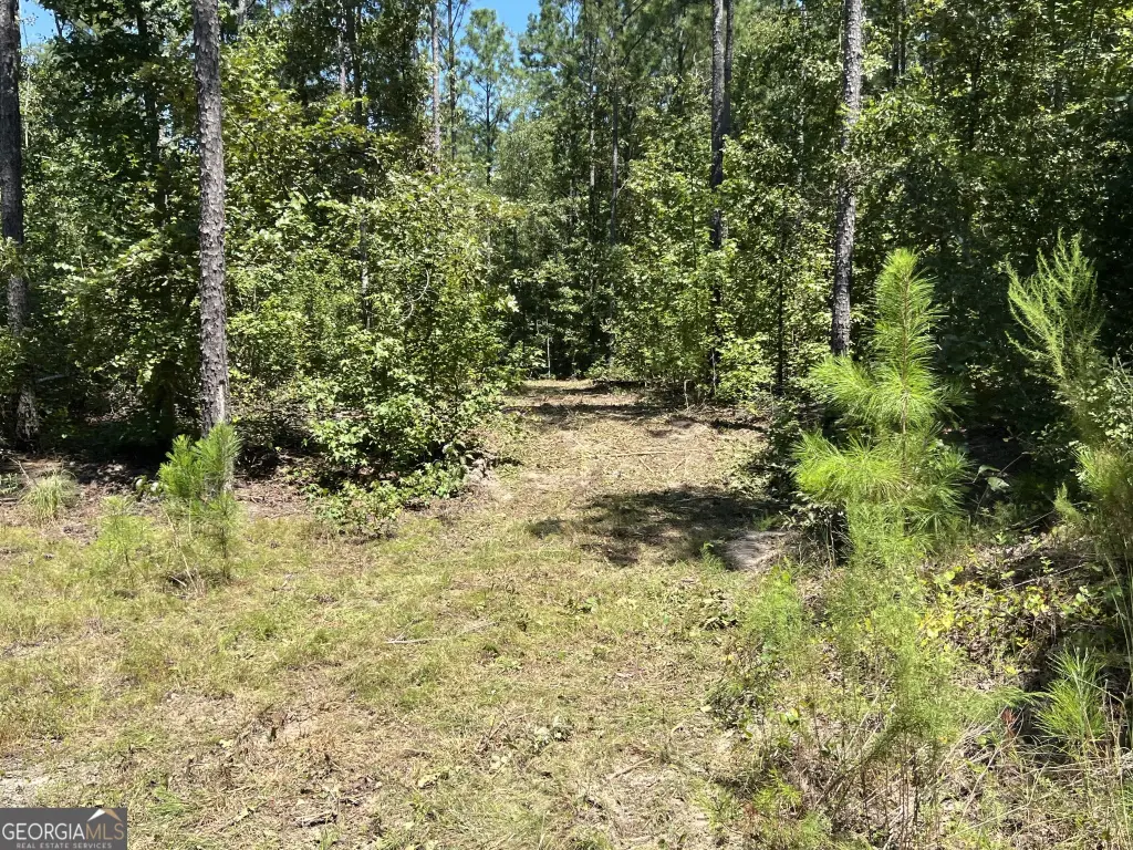 Picture 19
