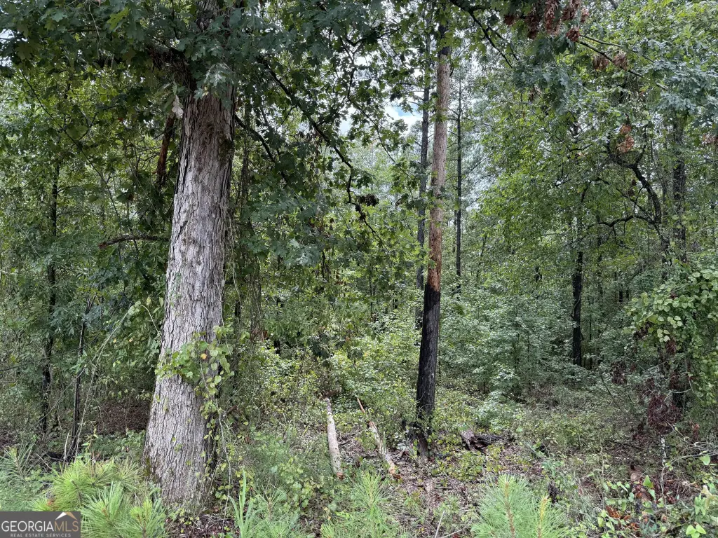 Picture 48