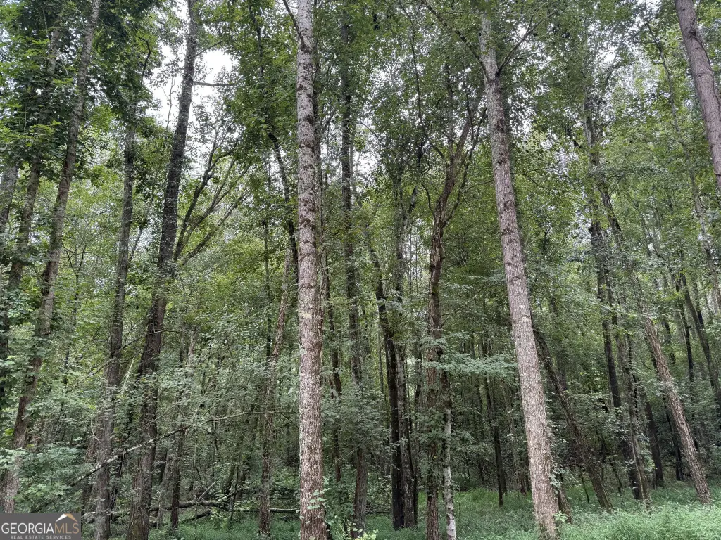 Picture 41