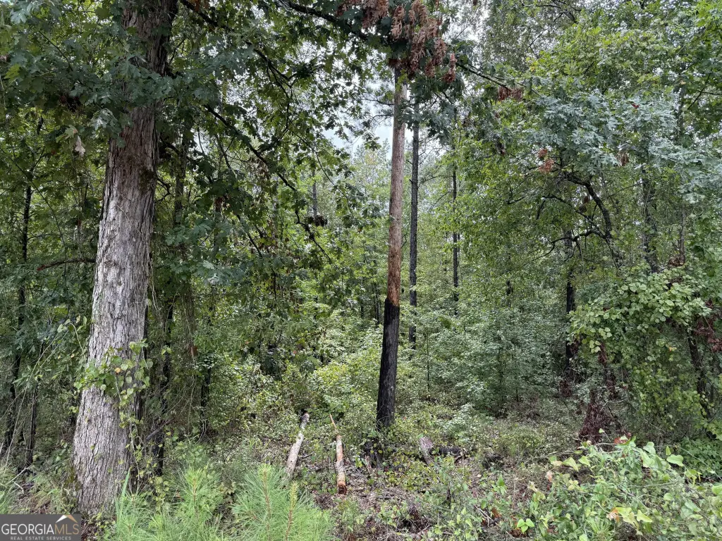 Picture 49