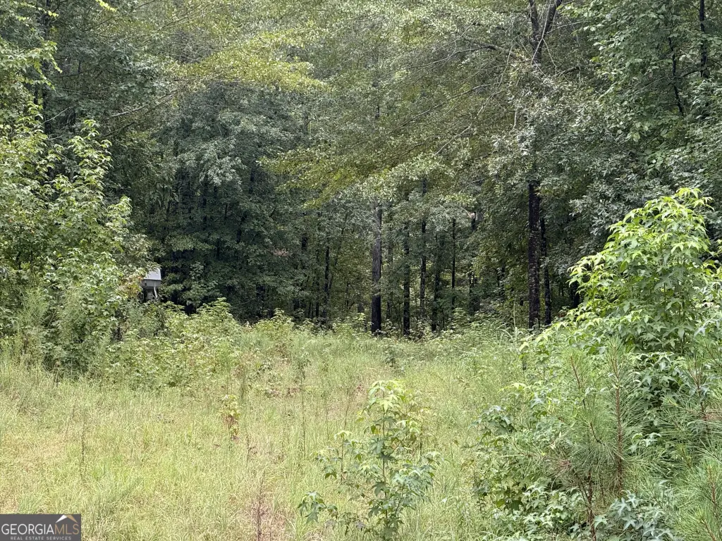 Picture 36