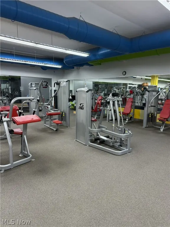 Picture 14
