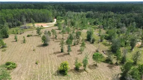 Partly Cleared Land
