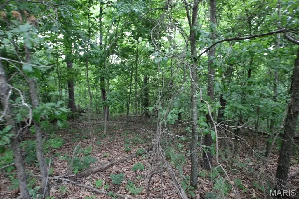 Picture 13