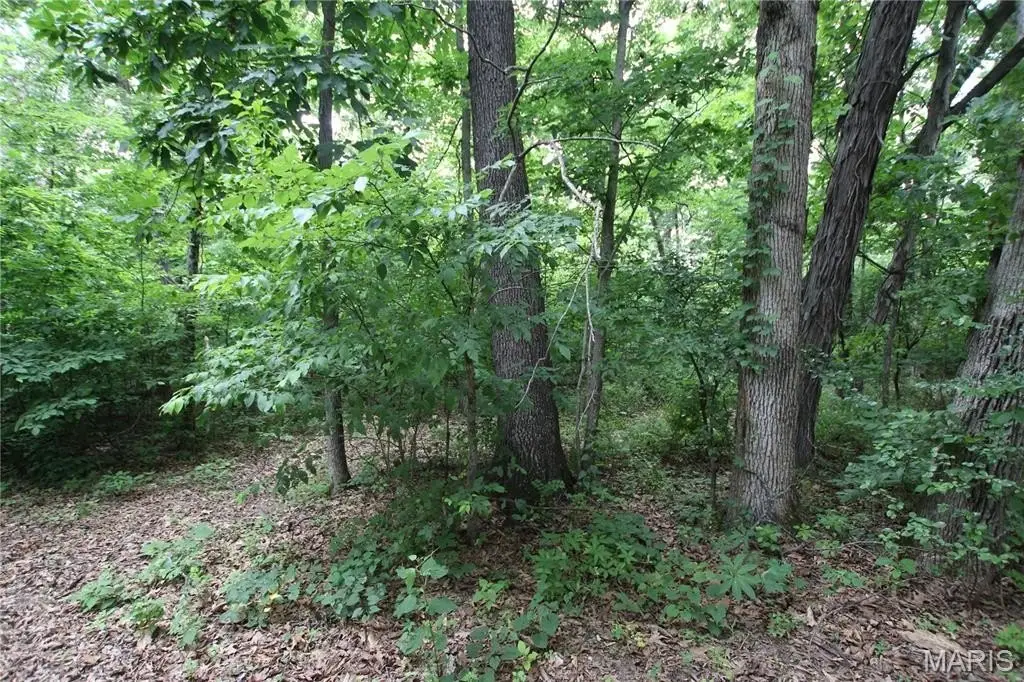 Picture 7