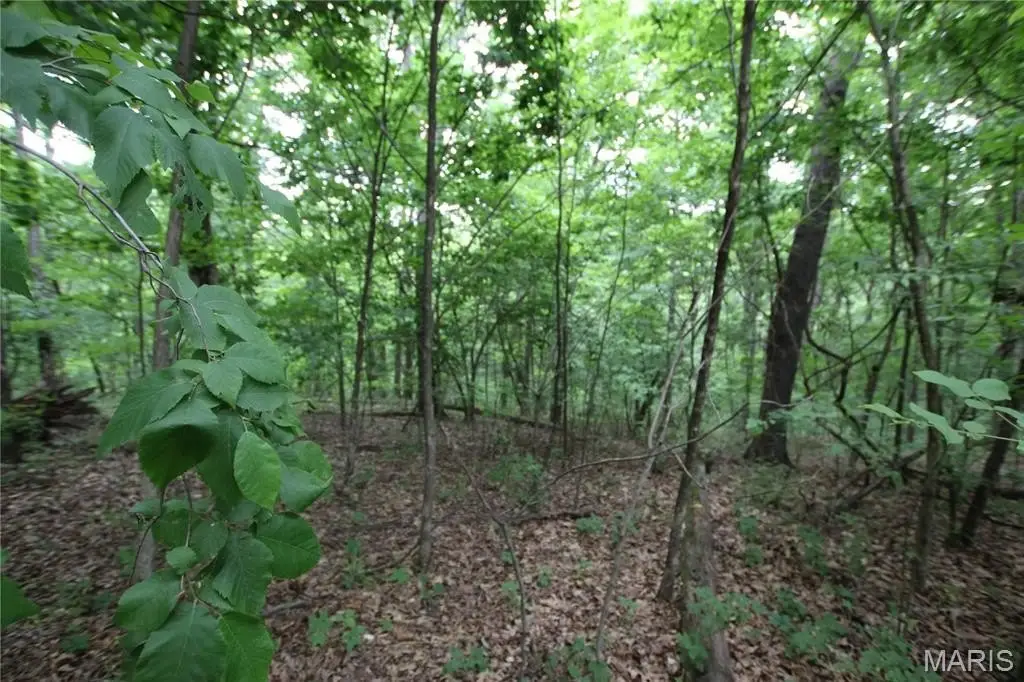 Picture 27