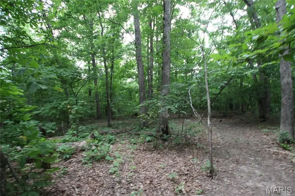 Picture 25