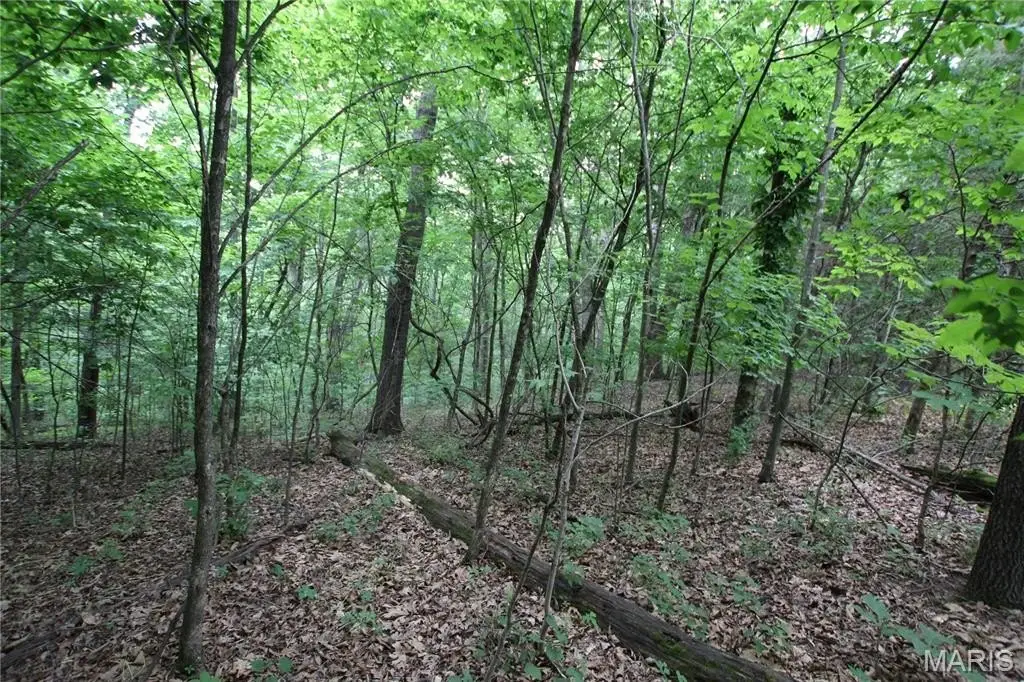 Picture 17