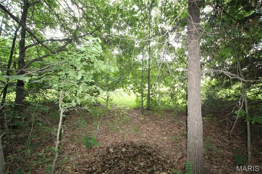 Picture 23