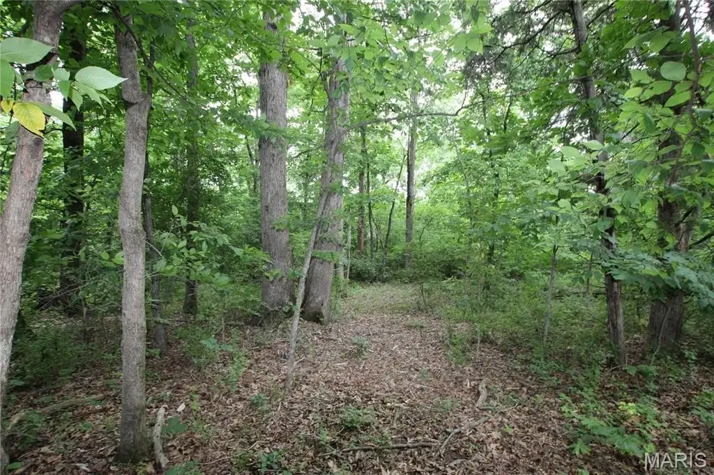 Picture 11