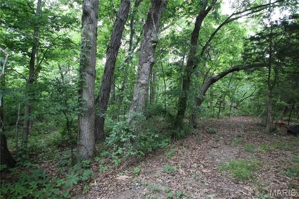 Picture 2