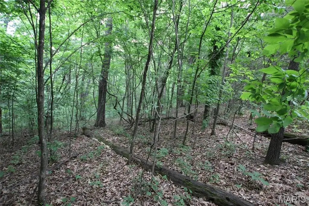 Picture 29