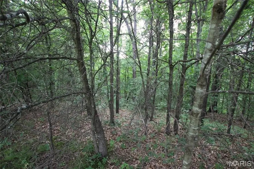 Picture 19