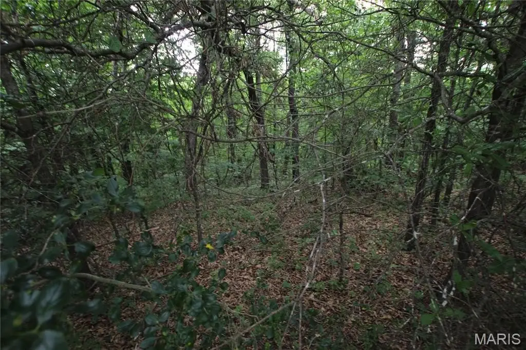 Picture 15