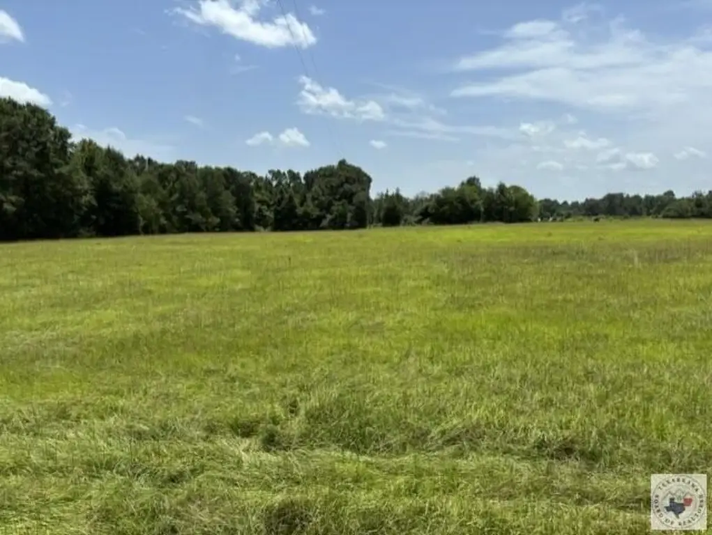 Picture 11