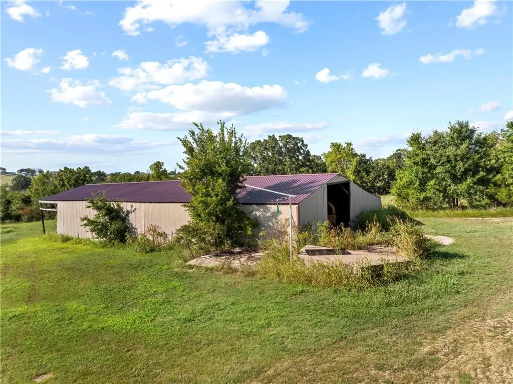 Picture 29
