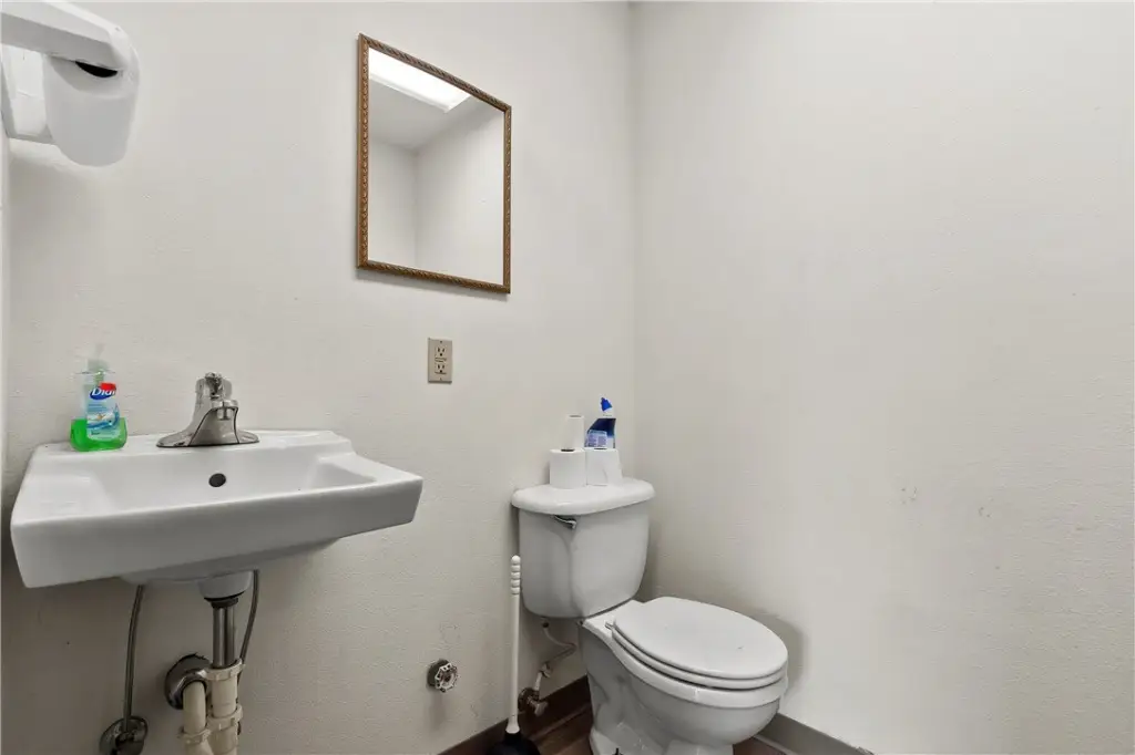 Picture 19