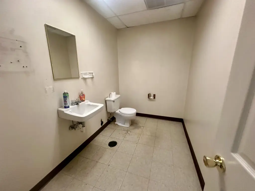 Picture 6