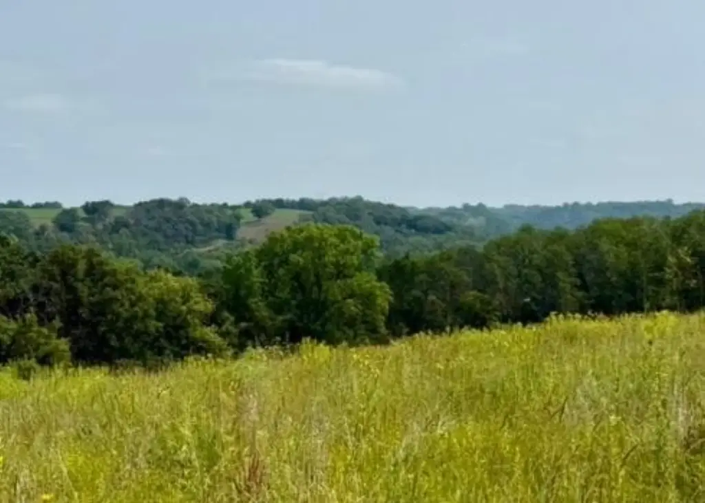 Picture 2
