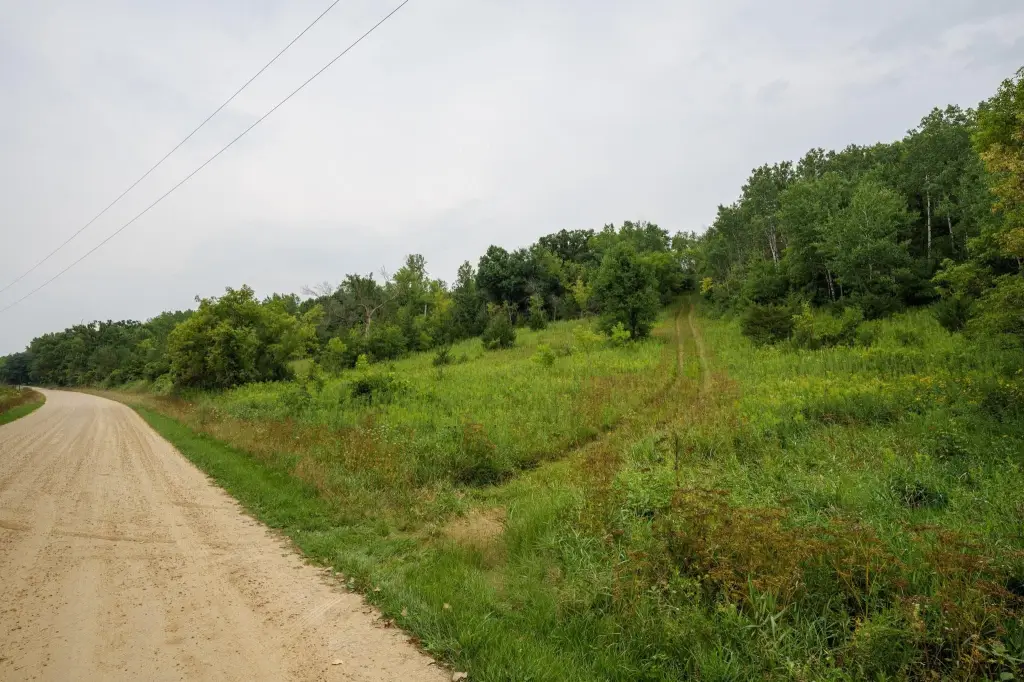 Picture 32