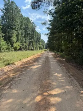 Raleigh, MS Vacant Land