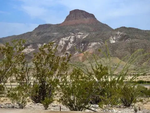 Lajitas Land with River Road View