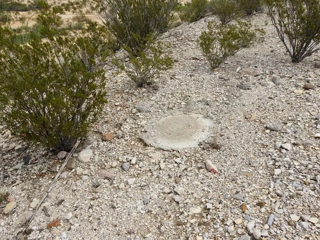 Picture 14
