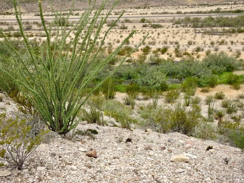 Picture 21