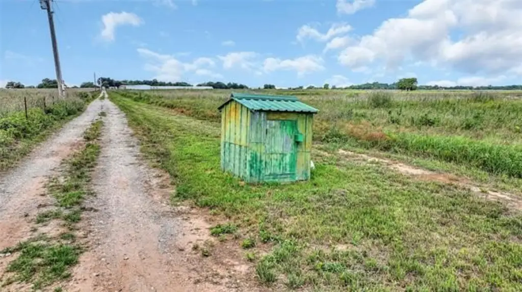 Picture 11