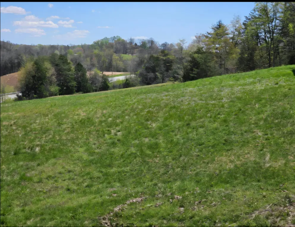 Picture 2