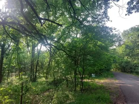 Wagoner Acreage Near Whitehorn Cove
