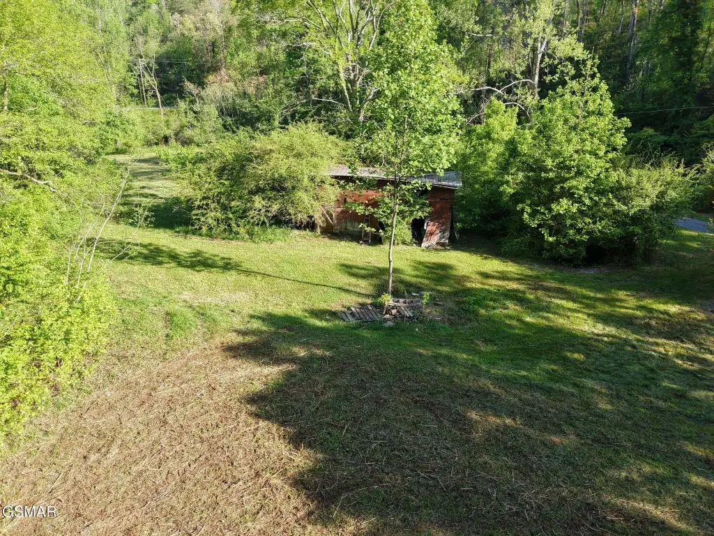 Picture 15