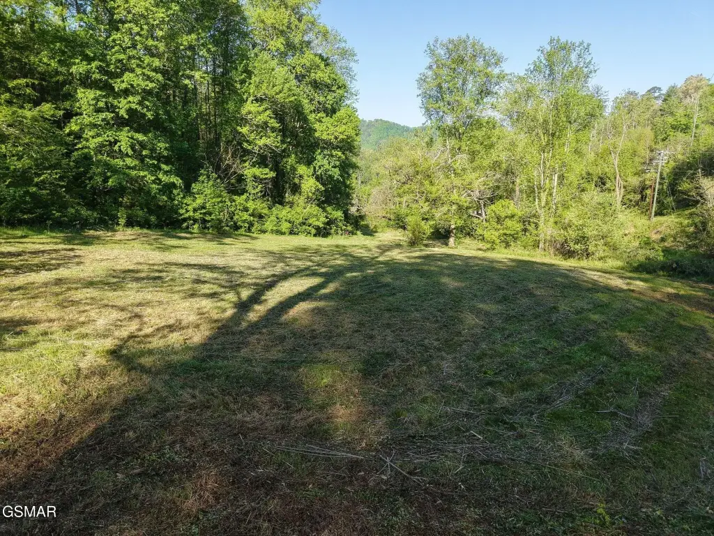 Picture 18