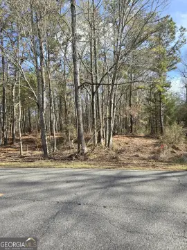 Recreational Homesite Tract Near Barnesville