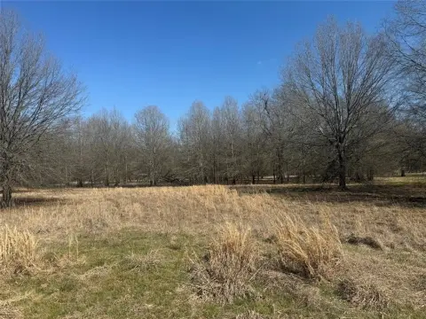 Residential Land in Blossom, Texas
