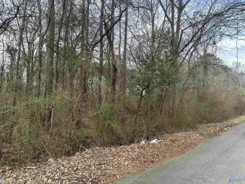 Land Parcel in East Gadsden