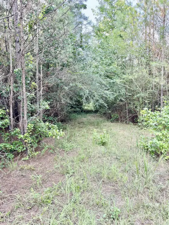 Picture 29