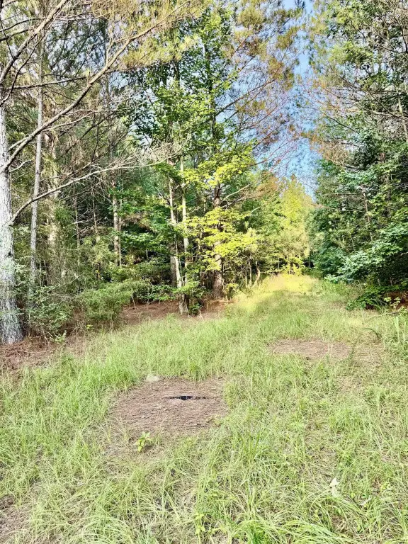 Picture 41