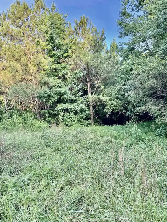 Picture 42