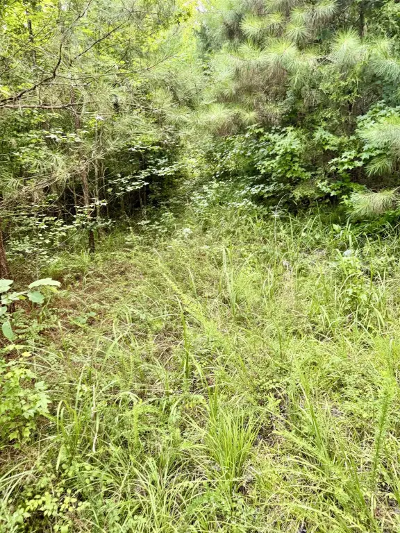 Picture 36