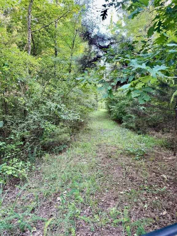 Picture 18