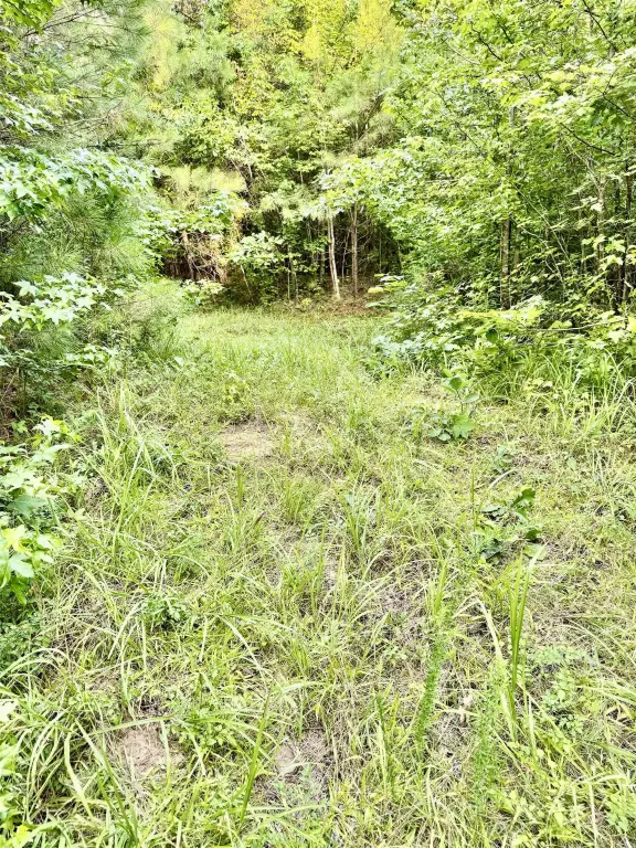 Picture 37