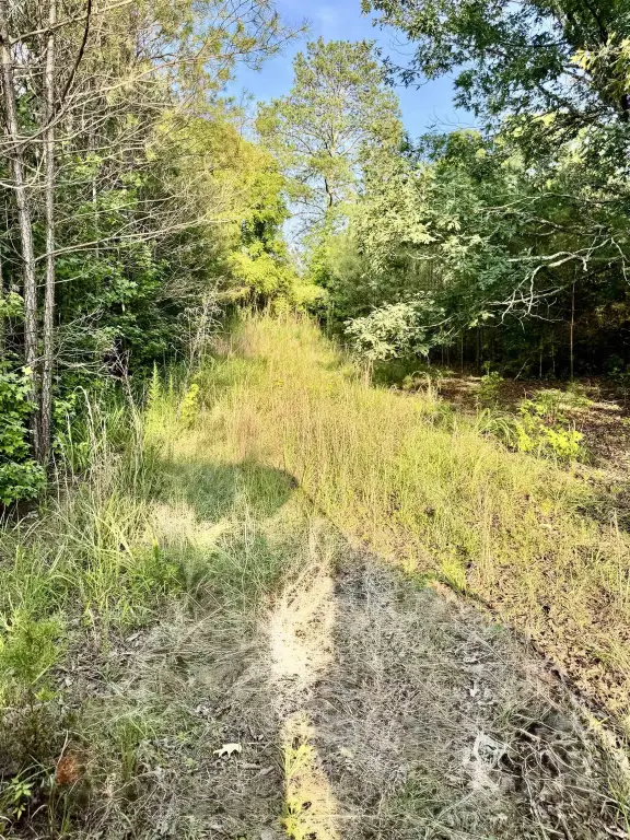 Picture 27