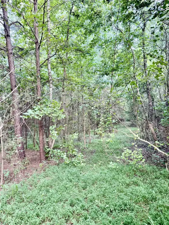 Picture 43