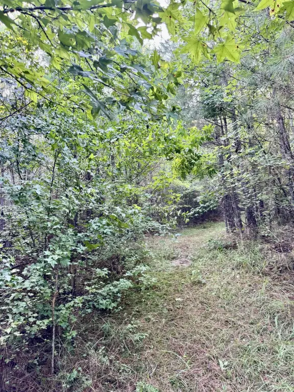 Picture 31