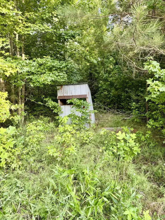 Picture 21