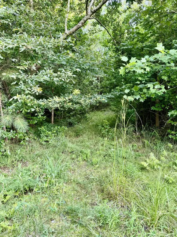 Picture 22